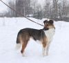 Уменьшенная картинка
