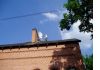 Уменьшенная картинка
