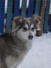 Уменьшенная картинка