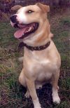 Уменьшенная картинка