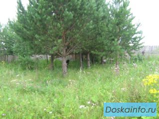 Продам земельный участок, сад 'Родничок', Логиново, Белоярский район.