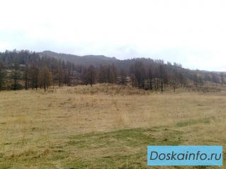 Продам земельный участок 20 Га