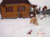 Уменьшенная картинка