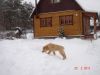 Уменьшенная картинка