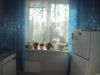 Уменьшенная картинка