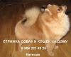 Уменьшенная картинка