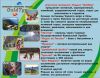 Уменьшенная картинка