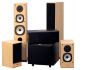 Акустическая система Acoustic Energy Aegis EVO