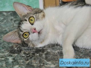 Очаровательная Муся