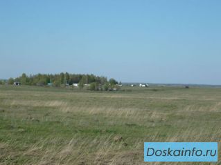 Продам 10Га земли с/х назначения.120км от МКАД.