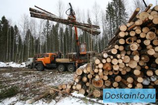Запчасти для Тракторов ТТ4,ТТ4-М и Лесопогрузчиков ЛТ-65, ЛТ-188 в Екатеринбурге