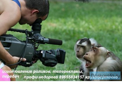 Фото, видео, корреспондент.