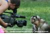Фото, видео, корреспондент.