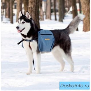 Рюкзак для собак, походный