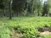 Уменьшенная картинка
