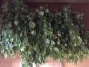 Уменьшенная картинка