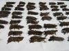 Уменьшенная картинка
