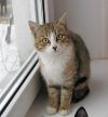 Уменьшенная картинка