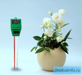Измеритель кислотности почвы