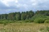 Уменьшенная картинка