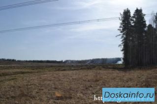 Продам участок размером 1га в поселке Кунгурка за 2 000 000 руб