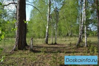 Продам участки размером 15 соток в поселке Ледянка за 290 000 руб.