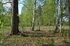 Уменьшенная картинка