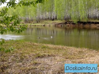 Участок У РЕКИ!!! под ИЖС. 15 км. от города! Экологически чистое место. Кайгородово