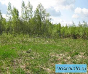 Продам участок 150 соток