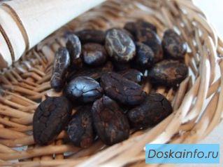 Какао-бобы оптом и в розницу