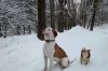 Уменьшенная картинка