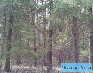 Земельный участок в ближайшем Подмосковье от 8 соток 