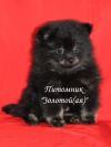 Уменьшенная картинка