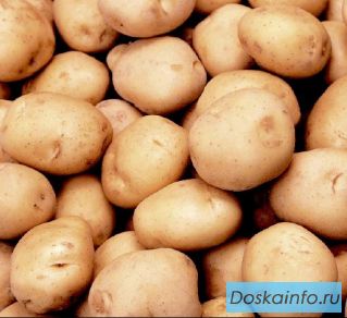 Картофель оптом