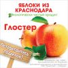 Уменьшенная картинка