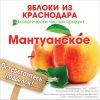Уменьшенная картинка