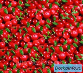 Продам бруснику недорого