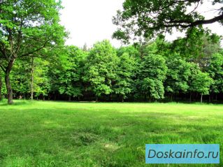 Продаю участки на опушке леса в Ярославской обл.