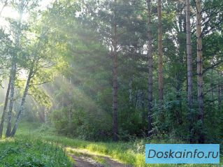 Земельный участок, Симферопольское ш. 50км от МКАД
