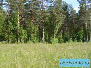 Земельный участок, Симферопольское ш. 50км 