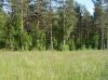 Земельный участок, Симферопольское ш. 50км 