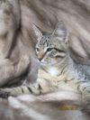 Уменьшенная картинка