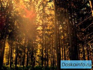 Продам зем. участок, 50км от МКАД Симферопольское ш. 