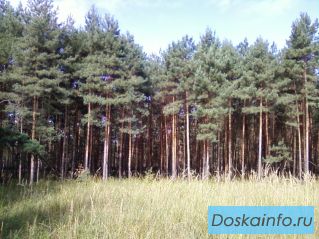 Продается земельный участок