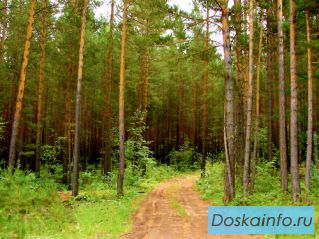 Участок 8.5 сот. на окраине г.Домодедово, 14 км от МКАД, 1.6 млн 