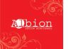 Канцтовары английской ТМ Albion