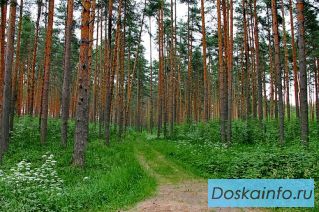 Домик на окраине г. Домодедово, 8.5 сот, 14 км от МКАД