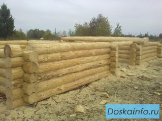 Срубы!! принимаем заказы на октябрь ноябрь!!