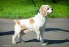 Уменьшенная картинка
