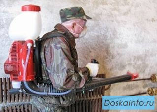 Уничтожение клопов в Подольске!!!